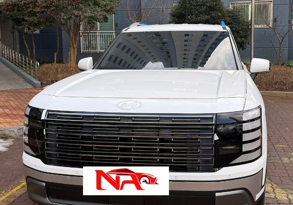 펠리세이드 무심사 장기렌트카 출고 너무 좋아요